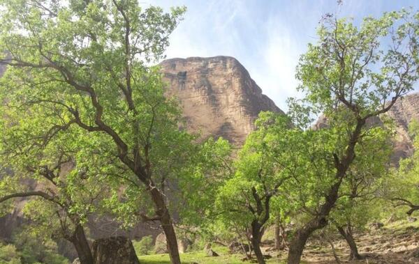 عکس از طبیعت سردشت دزفول