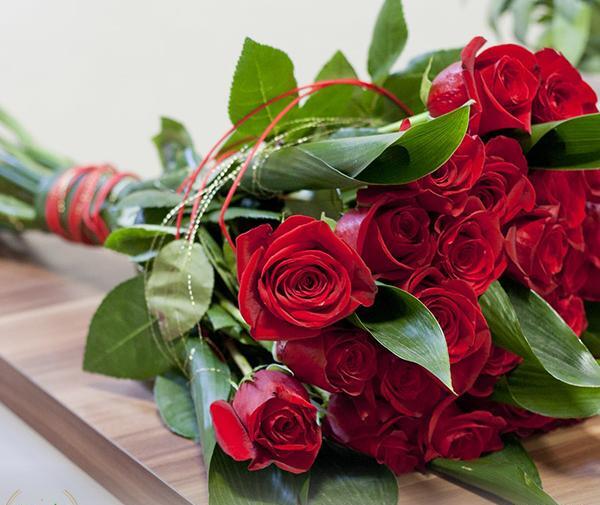 ذخیره عکس گل رز