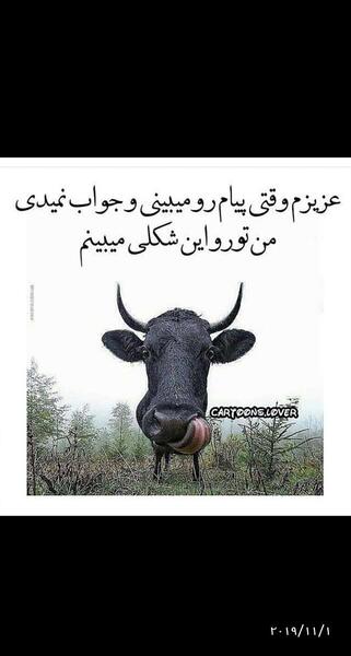 عکس عشقم چرا جواب نمیدی