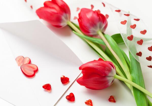 عکس گل لاله ی قرمز