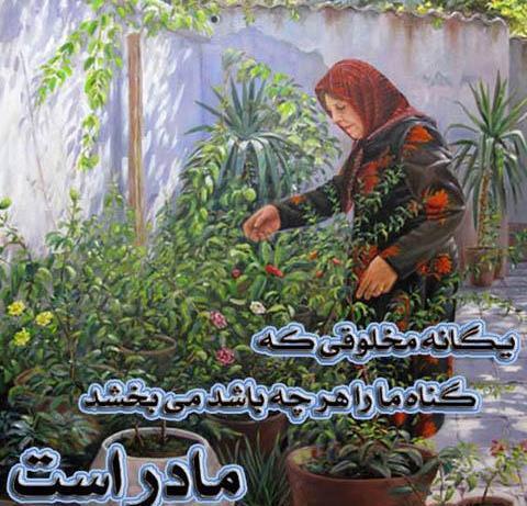 عکس های زیبا و لایک خور