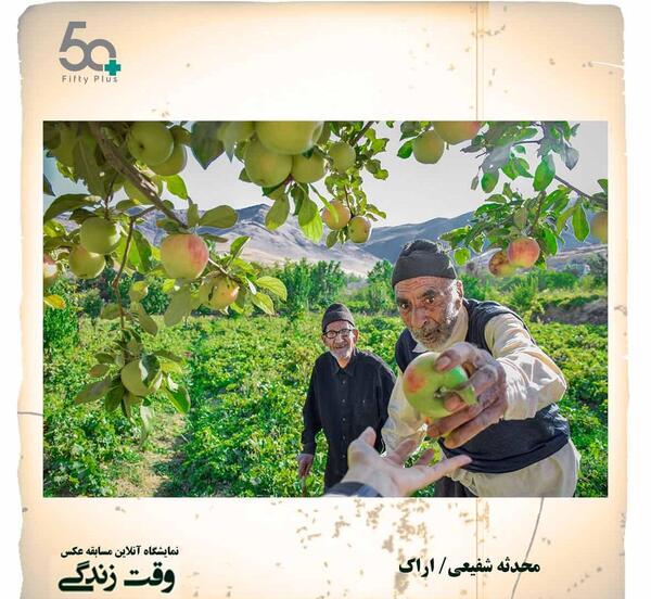 عکس محدثه شفیعی