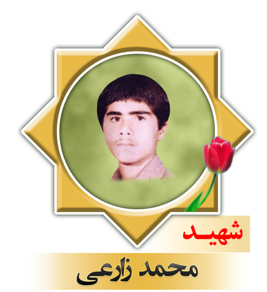عکس محمد زارعی
