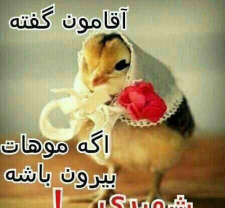 عکس نوشته طنز آقامون گفته