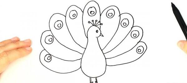 عکس طاووس نقاشی