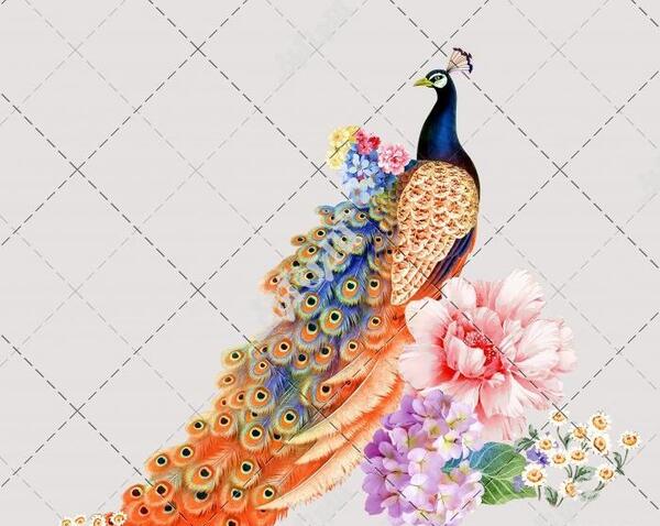 عکس طاووس نقاشی