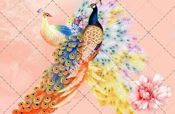 عکس طاووس نقاشی