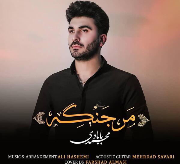 عکس صادق احمدی بابادی