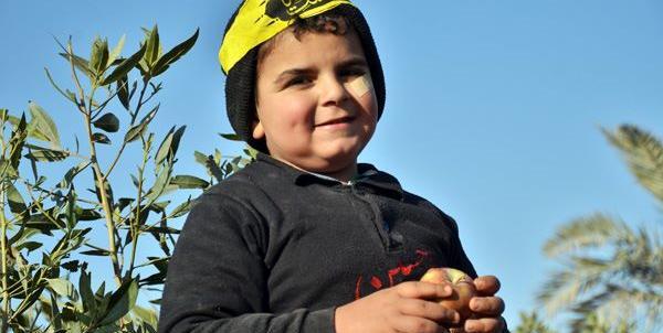 عکس امین غفاری