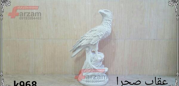 عکس عقاب صحرا