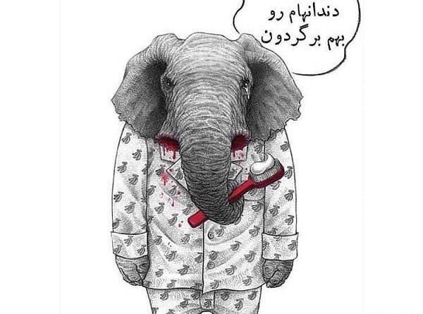 عکس فیل برای پروفایل