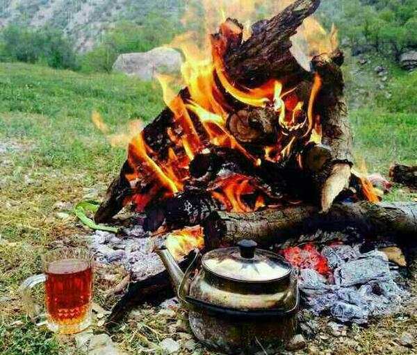 عکس چای اتیشی در طبیعت
