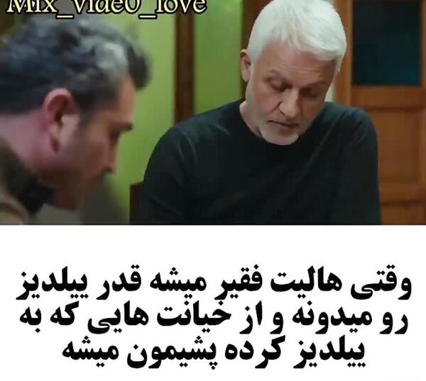 عکس هالیت و لیلی