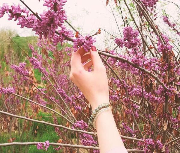 عکس نوشته آخرین روز بهار