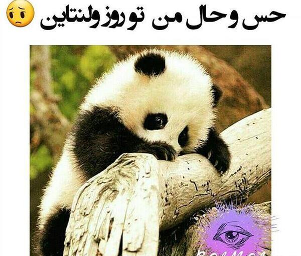 عکس طنز ولنتاین سینگلا