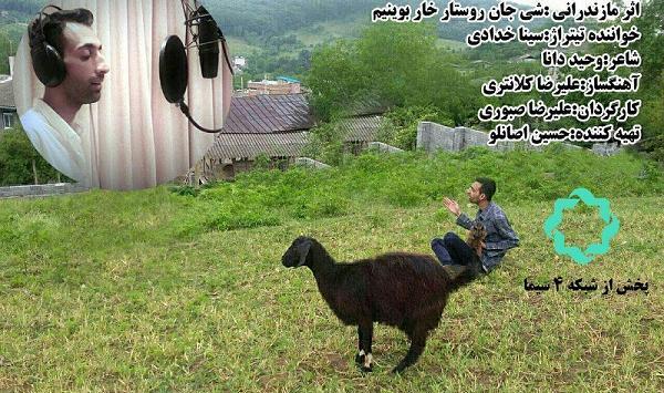 عکس سینا خدادی