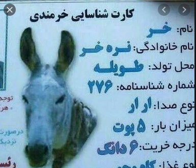 عکس های خنده دار حیوانات با نوشته