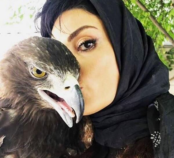 عکس عقاب خانگی