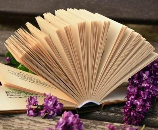 عکس کتاب زیبا برای پروفایل
