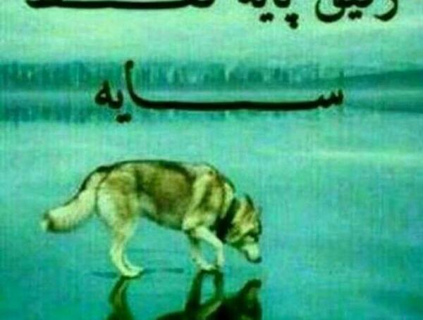 عکس پروفایل پسرانه رفیقی