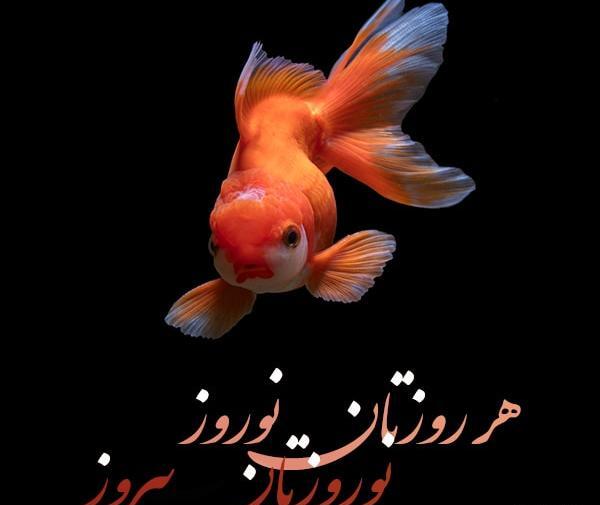 عکس لاکچری نوروز ۱۴۰۳