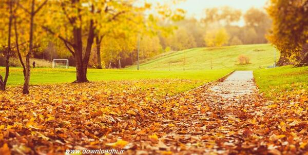 عکس های جالب برای صفحه کامپیوتر