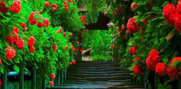 عکس منظره رویایی
