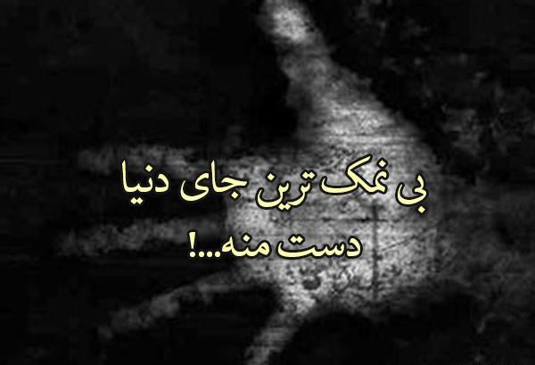 عکس نوشته تیکه دار نمک نشناسی