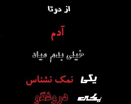 عکس نوشته تیکه دار نمک نشناس