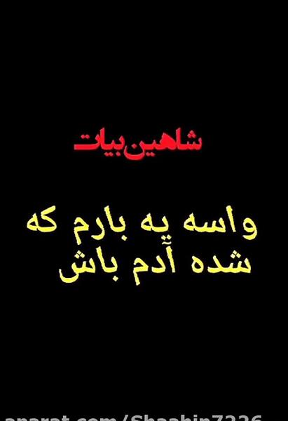 عکس نوشته تیکه دار نمک نشناس