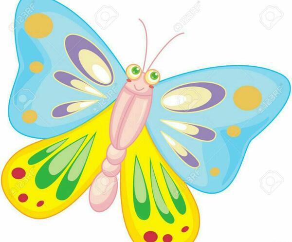 عکس پروانه نقاشی رنگی