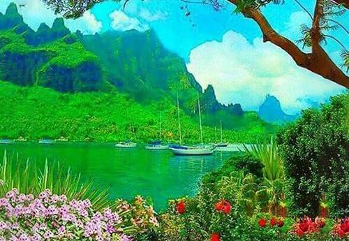 عکس پروفایل منظره ی زیبا