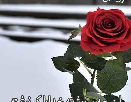 عکس نوشته خدایا سرنوشتم