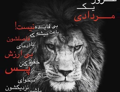 عکس شادی یعنی مردادی باشی