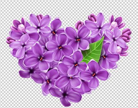 عکس دسته گل یاس بنفش