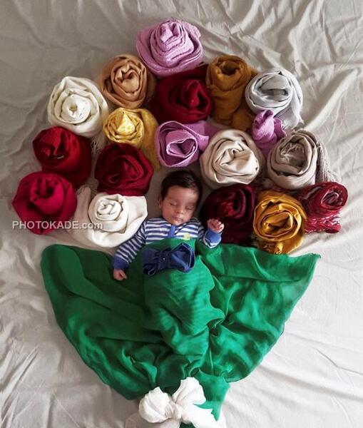 عکس ایده خلاقانه برای اشپزی