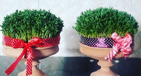 عکس سبزه عید در تنگ ماهی