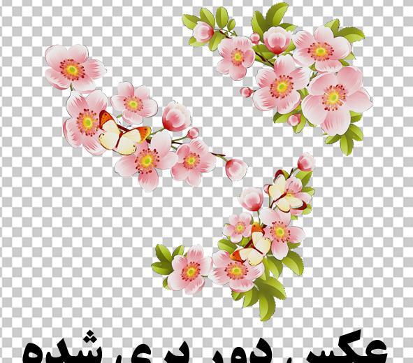عکس طرح شکوفه