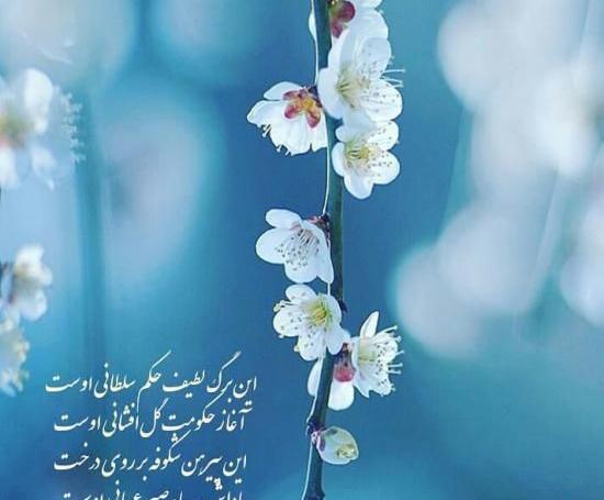 عکس نوشته فصل بهار
