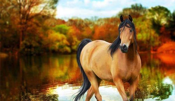 عکس پروفایل حیوان فانتزی