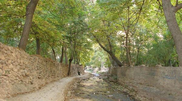 عکس از طبیعت مشهد