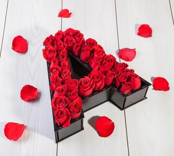 عکس گل رز با حرف m