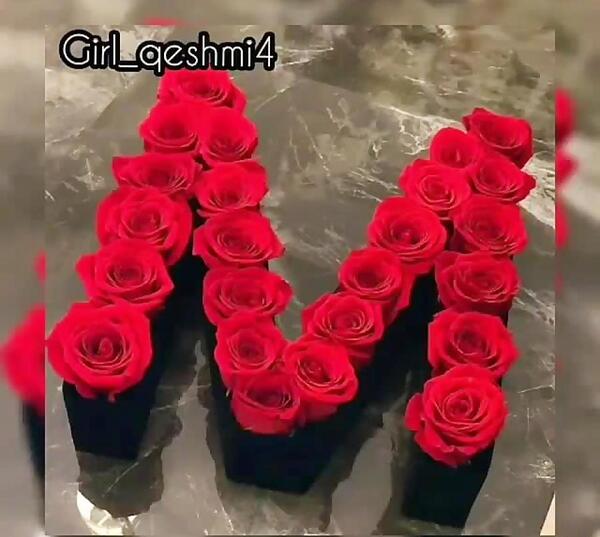 عکس گل رز با حرف m