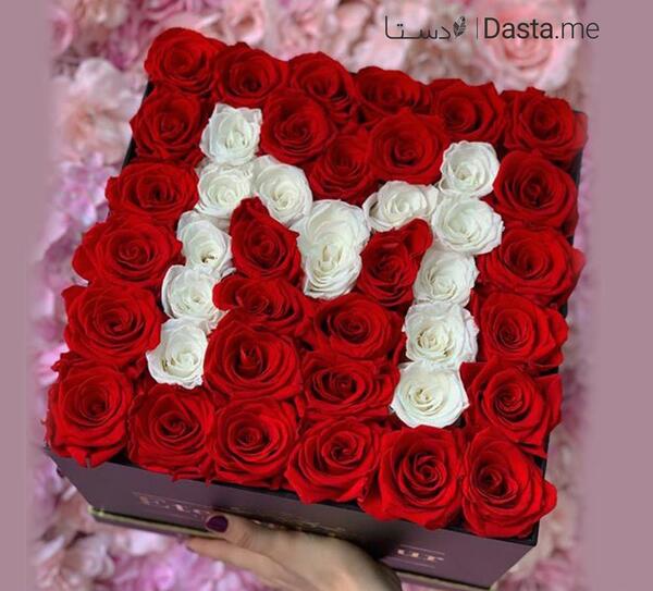 عکس گل رز با حرف m