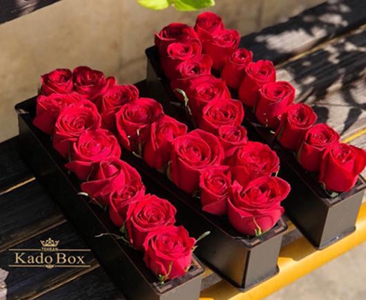 عکس گل رز با حرف m