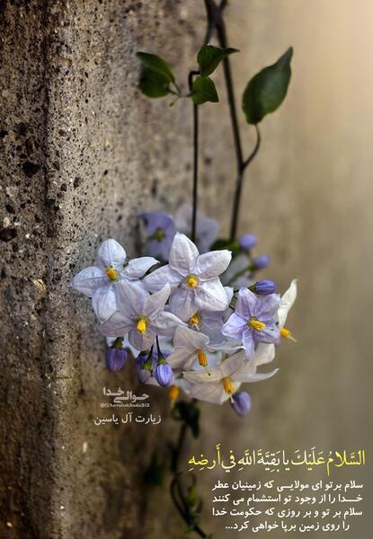 عکس نوشته سلام علی آل یاسین