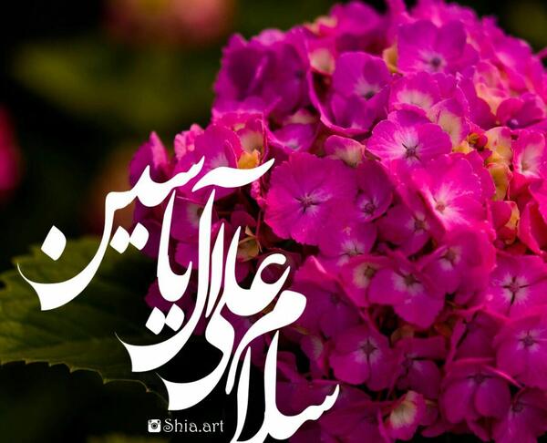 عکس نوشته سلام علی آل یاسین