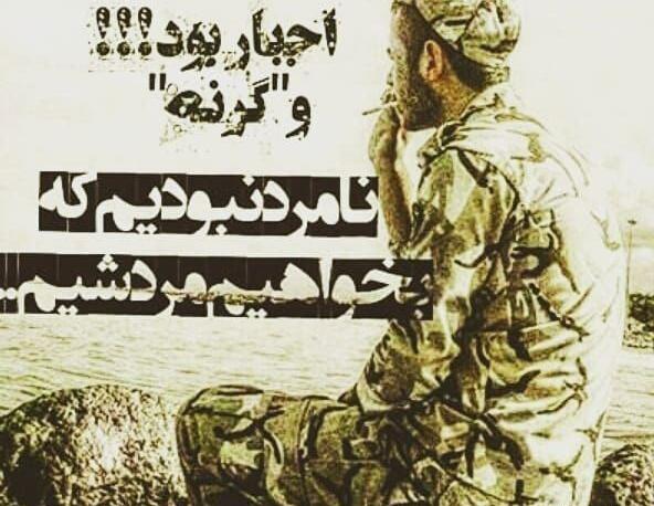 عکس های جالب سربازی
