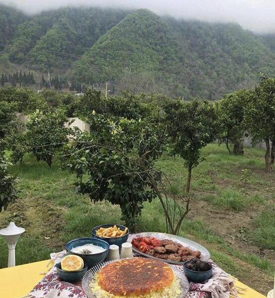 عکس از طبیعت شمال کشور