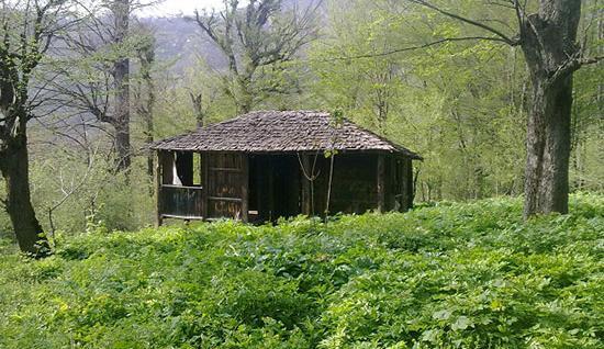 عکس سیاه رودبار